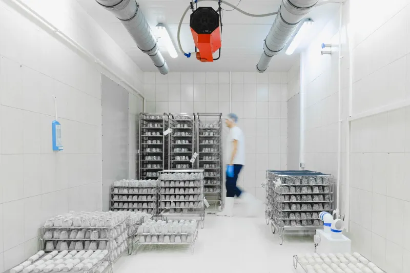 Cold Storage, Clean Rooms, and Compliance: How PVC Foam Board Is Redefining Food Facility Infrastructure